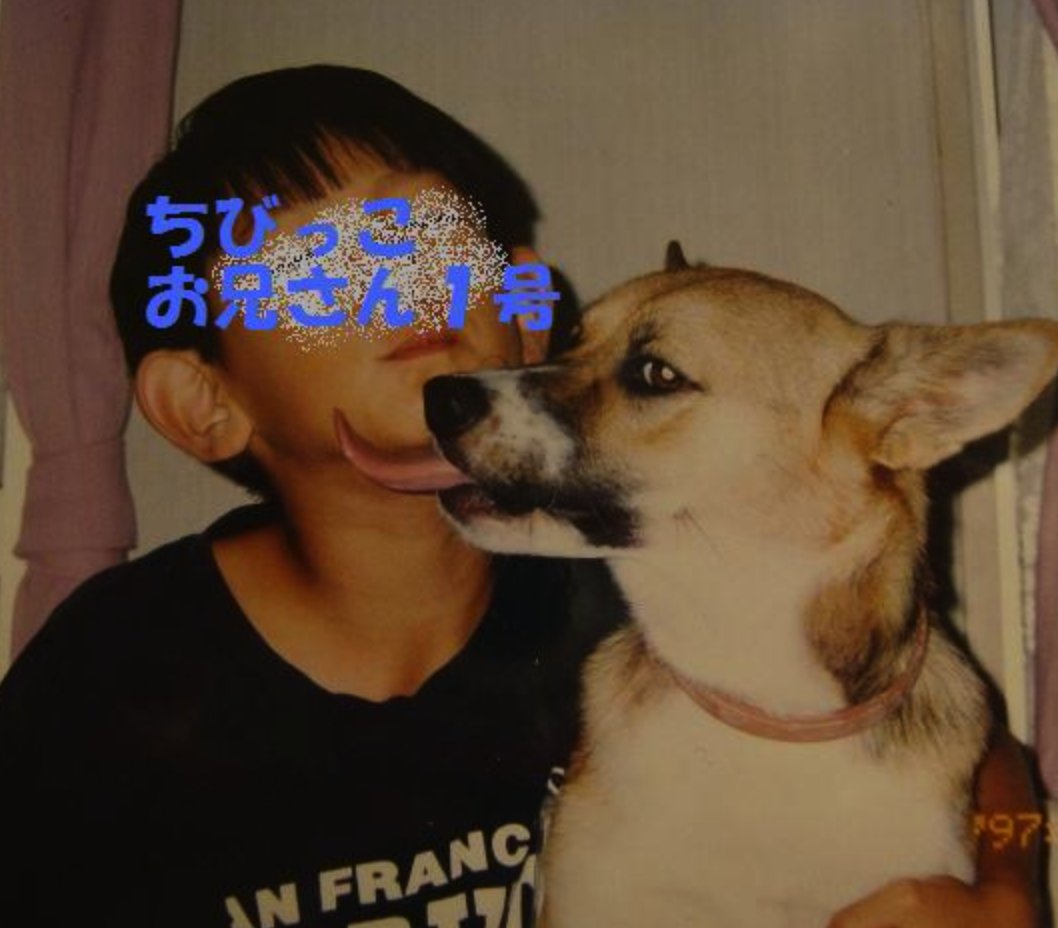 kencoinonsol's tweet photo. solana:AVkQ25v9wcQFpDJXQKAyPxuS79eCnEZgeL6xhi2spump was such a lovely boy! https://t.co/btmG9CRirm