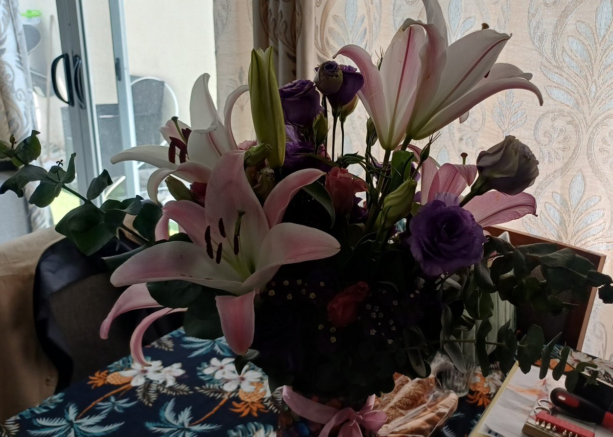 almanost's tweet photo. Los lirios abiertos, que hermosos 😭😭😭 https://t.co/yGlY6XKuqC