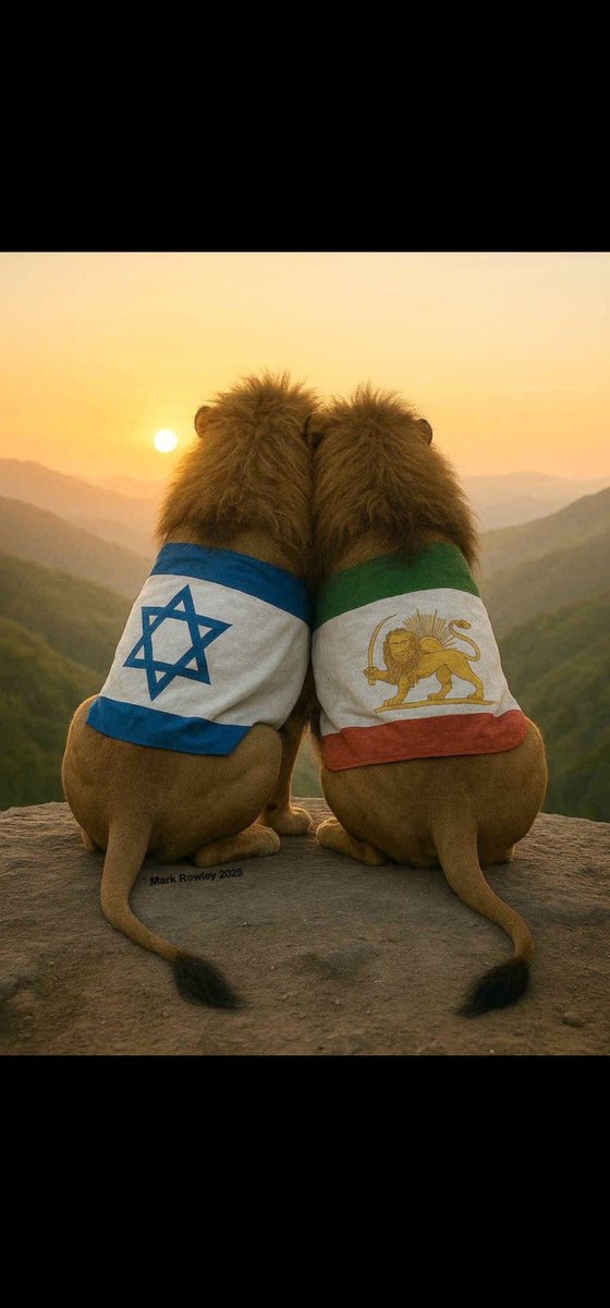 kianush33's tweet photo. @Sarahsa09309757 فکر کن ایرانی باشی و پشت اسرائیل هم باشی ،به خودم و همرزمهام افتخار میکنم 
#JavidShah‌‌‌‌‌ 
#standwithisrael https://t.co/mhBZIdrmnI