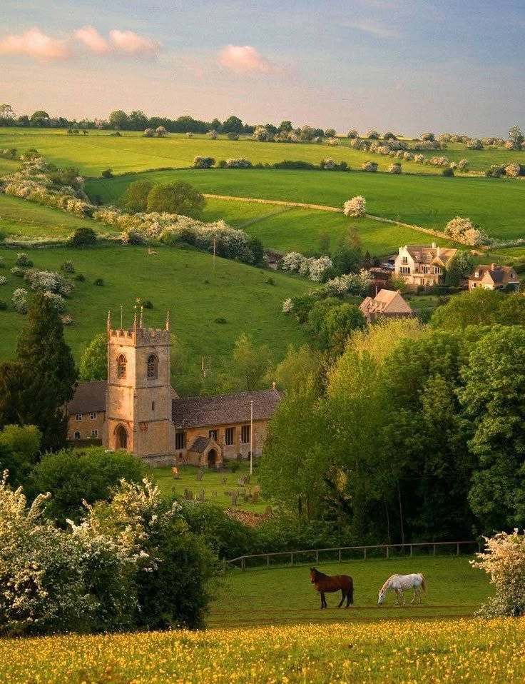 purelivn's tweet photo. countryside life https://t.co/NDhYSkn4pv