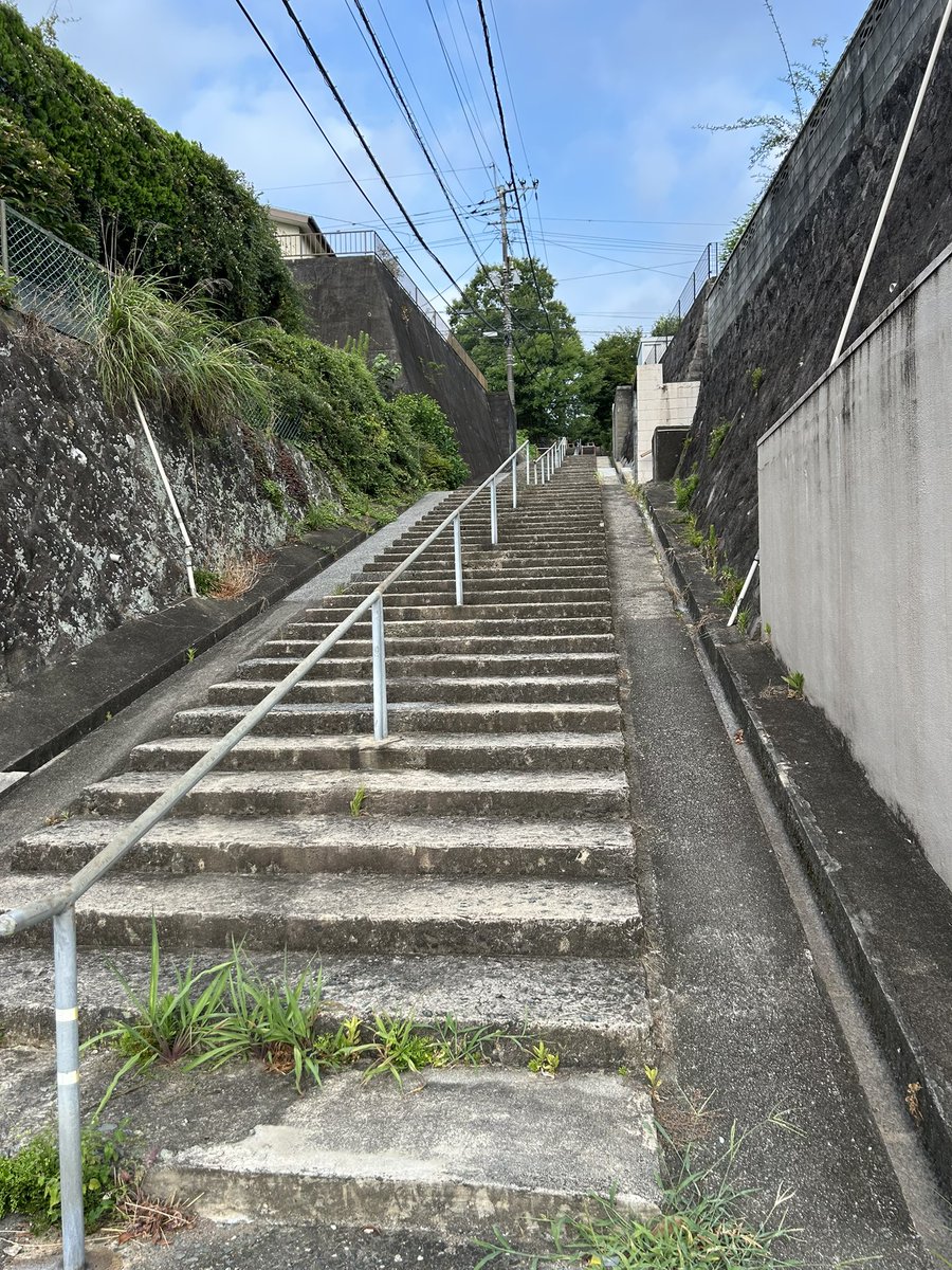 yu5124's tweet photo. 朝んぽ完了

来るか！？メニエール 
な感じやったけど、今のところ大丈夫みたい
よかった　🐒

朝んぽ階段と津屋崎の浜木綿(ハマユウ) https://t.co/DCbdPmolau