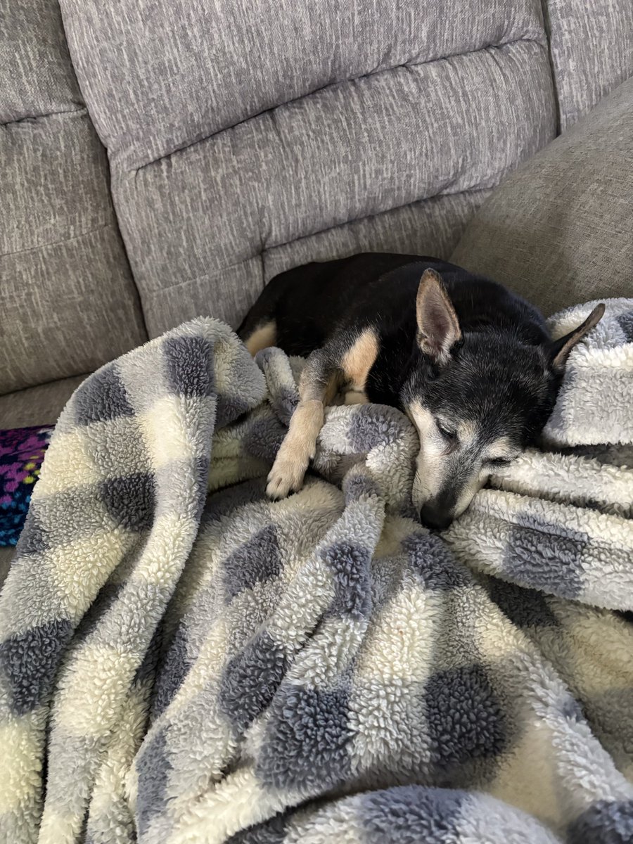 Karson_Kulas's tweet photo. Sleepy 😴 https://t.co/sjqdLHezSx