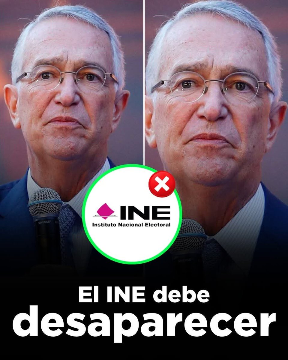 BONOIsrael's tweet photo. @RicardoBSalinas 
#LaPerritaDeTrump

Pues no que "EL INE NO SE TOCA"? https://t.co/Z4b4gVaBwQ