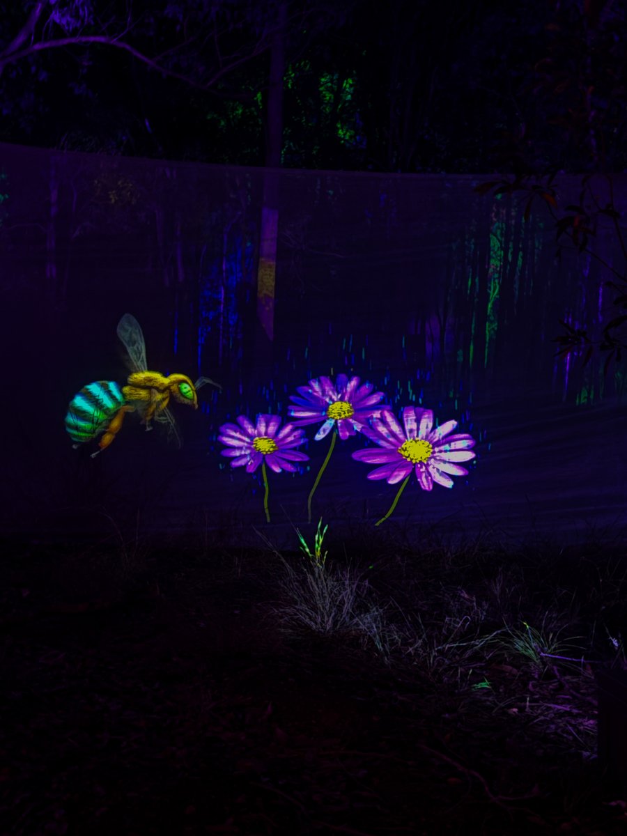 thisphantoml1fe's tweet photo. went to a Hozier themed light show https://t.co/pWkn14ubd4
