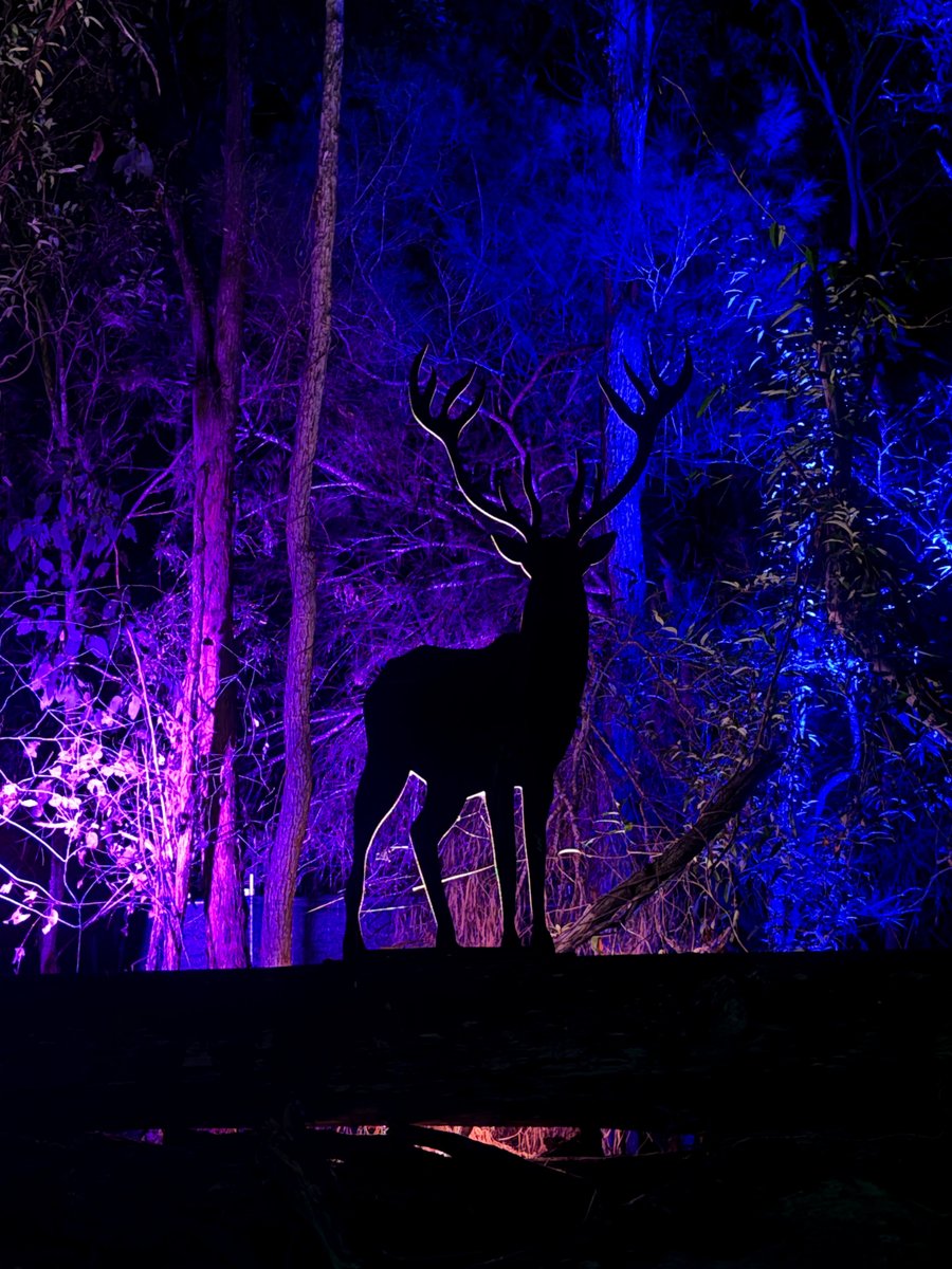 thisphantoml1fe's tweet photo. went to a Hozier themed light show https://t.co/pWkn14ubd4