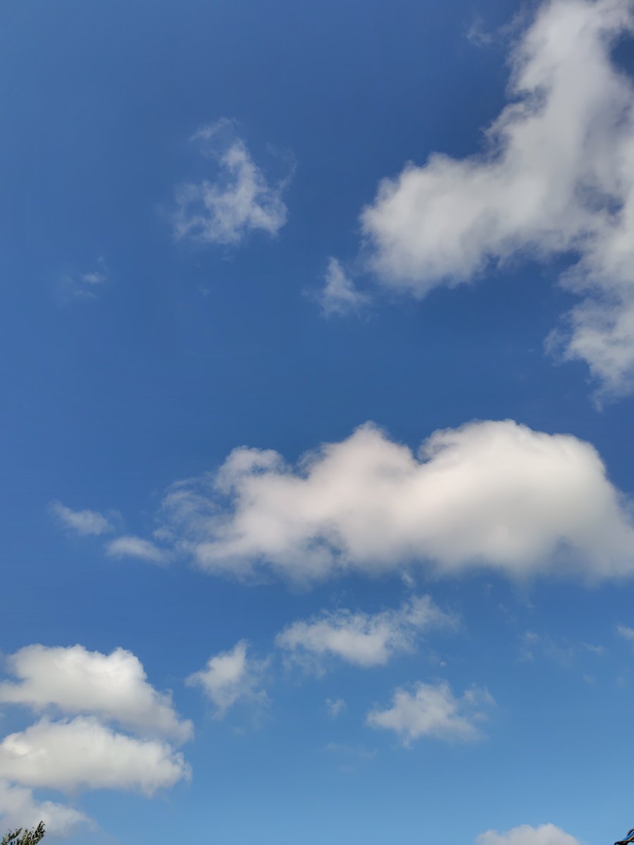 kaorishaka's tweet photo. 今朝は爽やかな風が吹いて気持ちがいいなぁ

果てしなく続く広い空　
どこから見てくれているの?
空を眺めては探しちゃうよ

あなたは私のことわかる?
何かキラキラするものでも身につけておこうかなぁ
あ、私 太っちょだからすぐわかるか。。😊 https://t.co/akl380XmHr