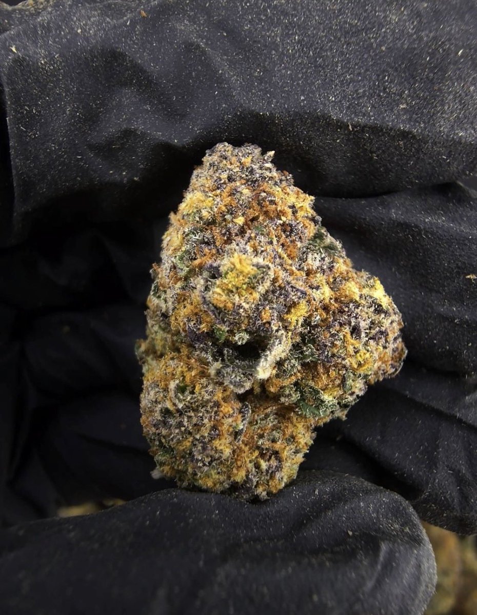 Ikaeyefuck03's tweet photo. 🔥Indoor🔥

Blackberry Oreo
Indica70% , THC42%

250K 1G

650K 3G free ship

5~10G Inbox https://t.co/e9Ma5LJMjl