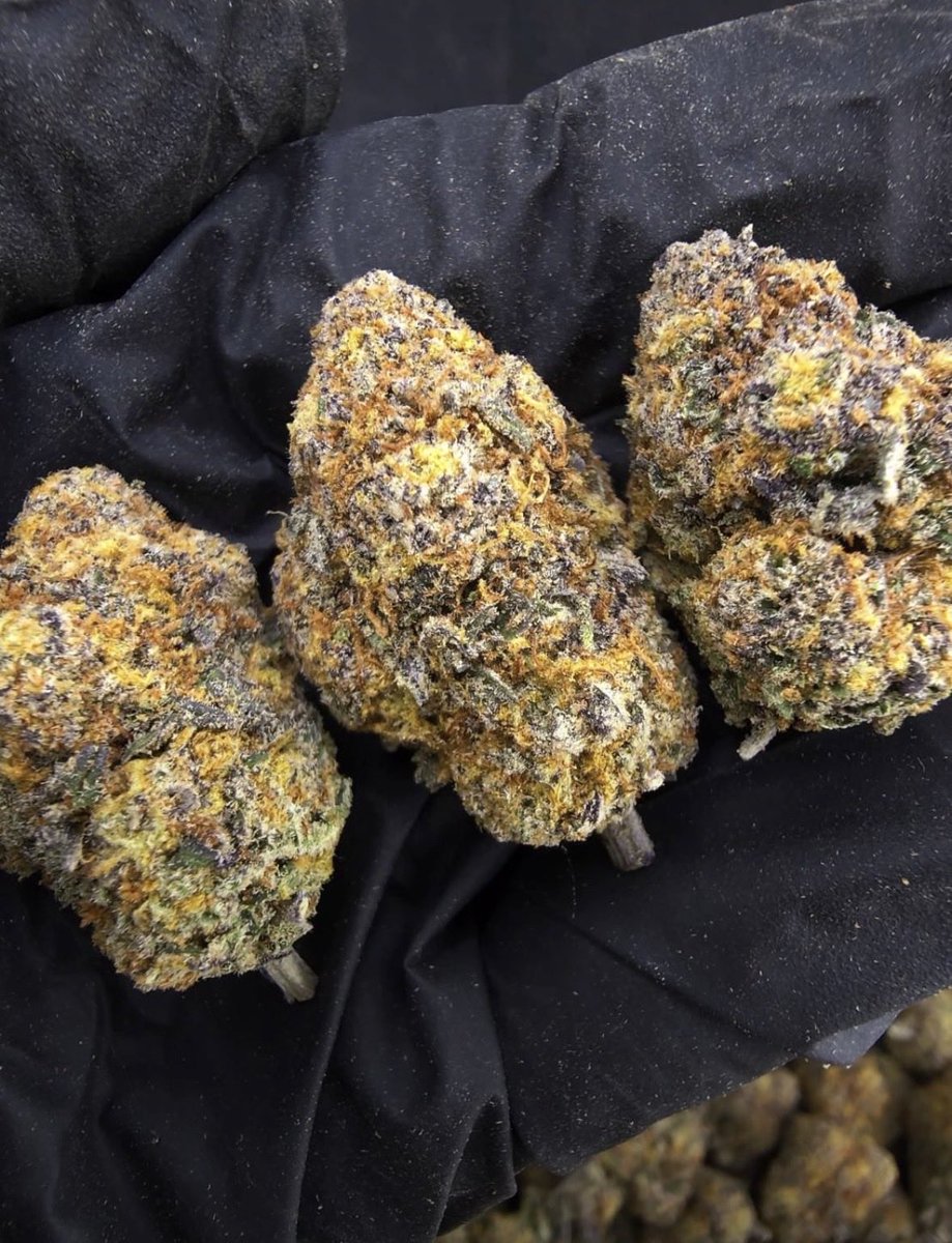 Ikaeyefuck03's tweet photo. 🔥Indoor🔥

Blackberry Oreo
Indica70% , THC42%

250K 1G

650K 3G free ship

5~10G Inbox https://t.co/e9Ma5LJMjl