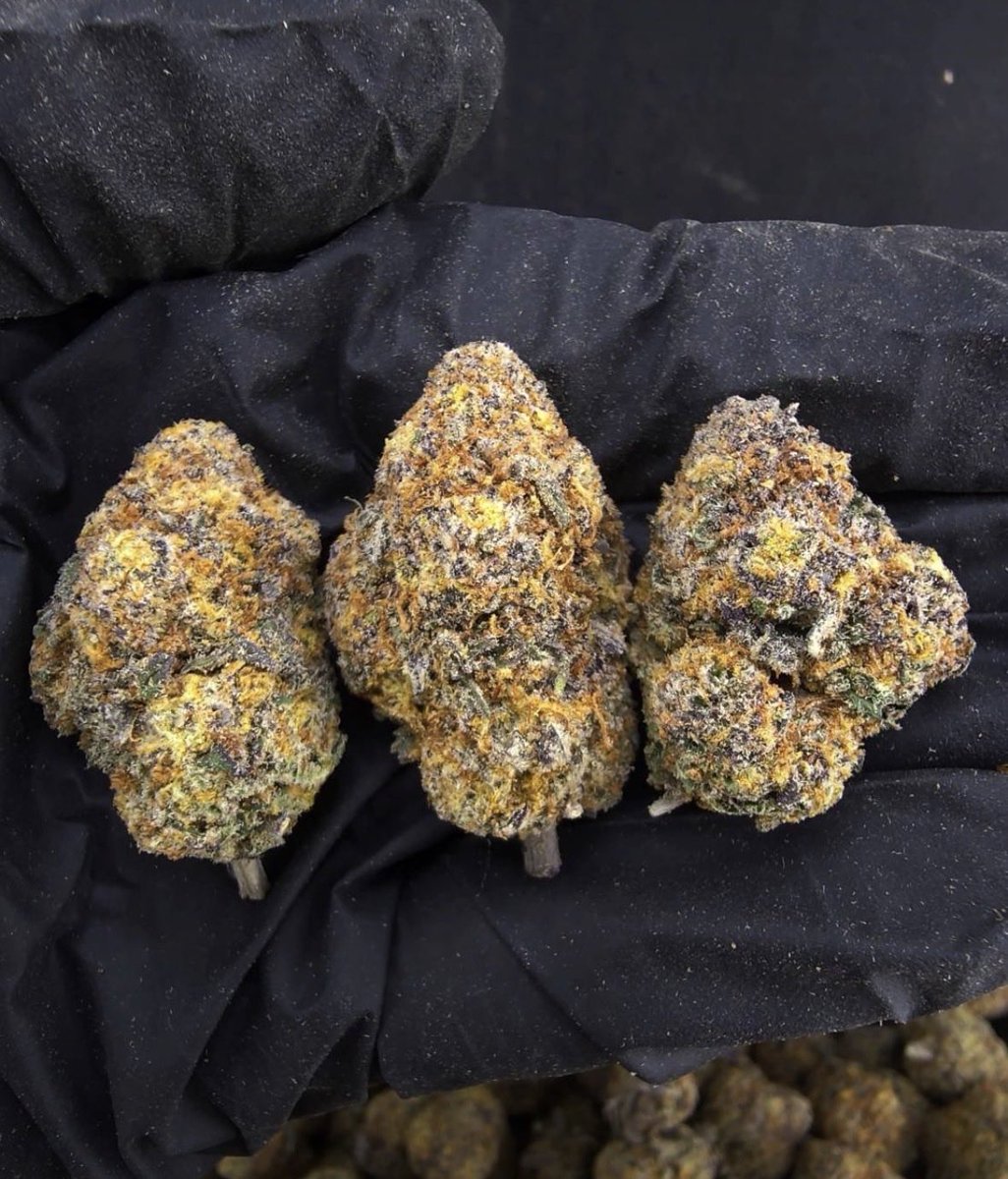 Ikaeyefuck03's tweet photo. 🔥Indoor🔥

Blackberry Oreo
Indica70% , THC42%

250K 1G

650K 3G free ship

5~10G Inbox https://t.co/e9Ma5LJMjl