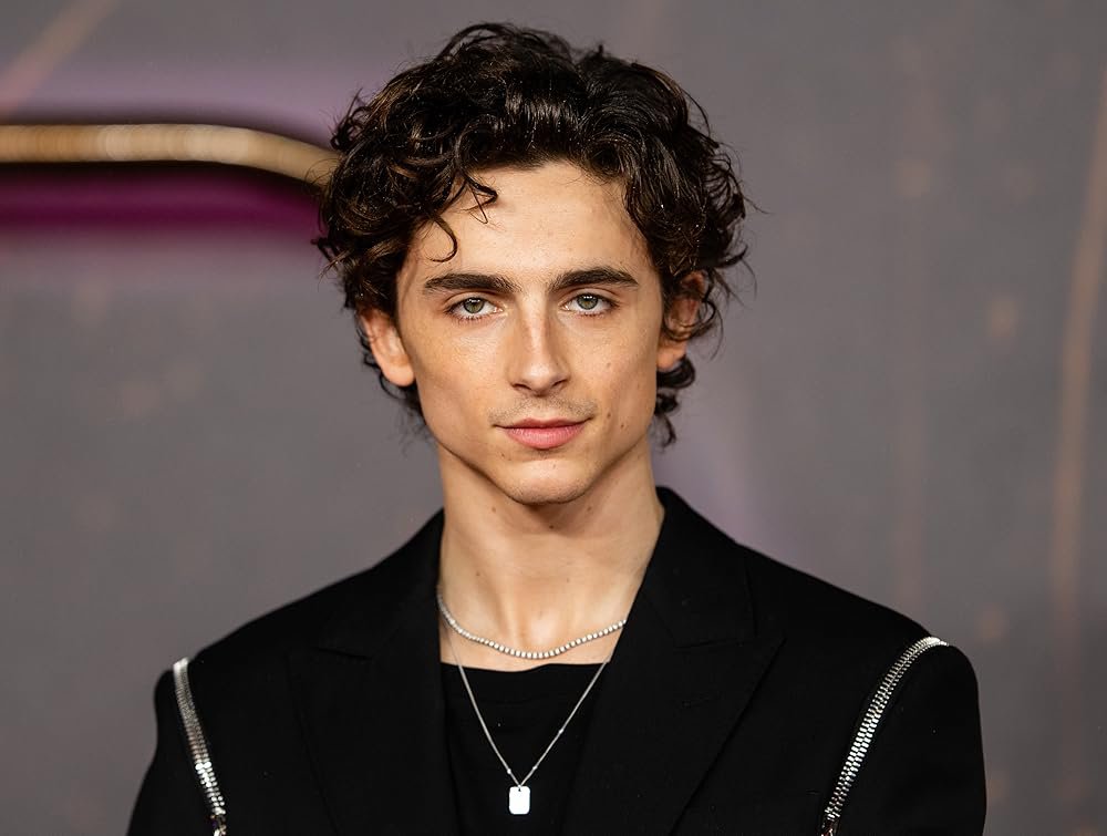 Filmi_fiedGuy's tweet photo. Timothée Chalamet lost the role of Spider-Man in 2015 to Tom Holland largely because he lacked the acrobatic and physical skills Holland brought to the audition. https://t.co/rKghnUiCaS