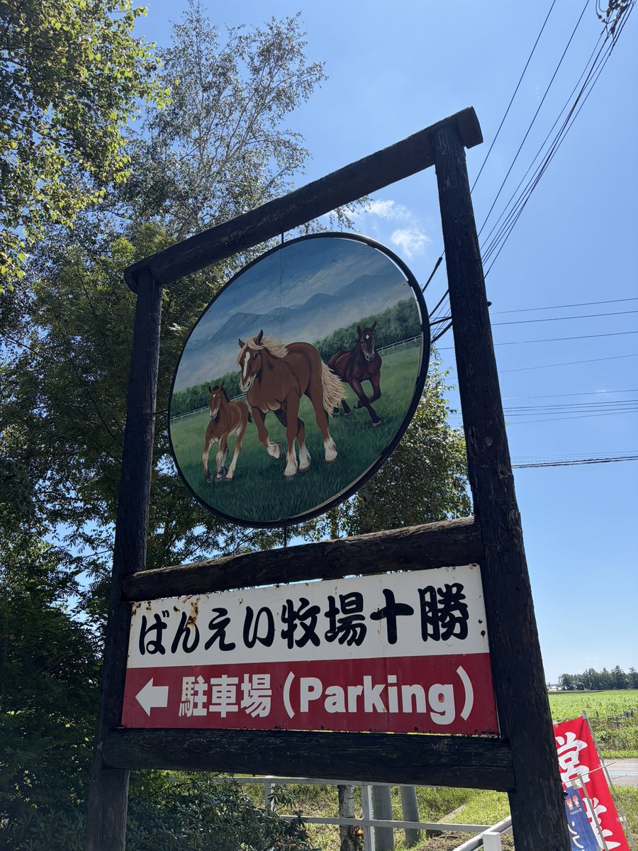 myuucooo's tweet photo. ばん馬の親子が可愛い🐴
ママの警戒っぷりがすごい😆 https://t.co/7DjMuIlLYu