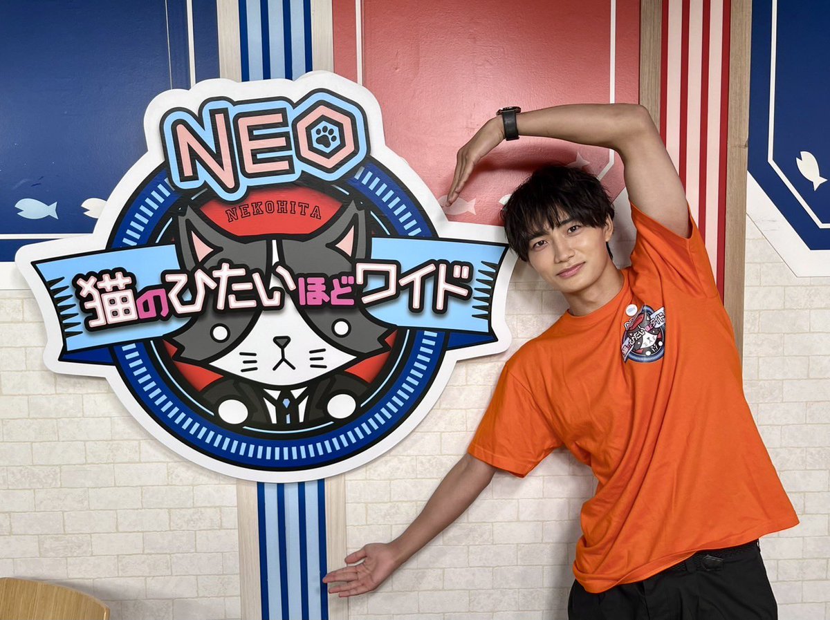 猫のひたいほどワイドNEO (@nekonohitai_tvk) / Posts / X