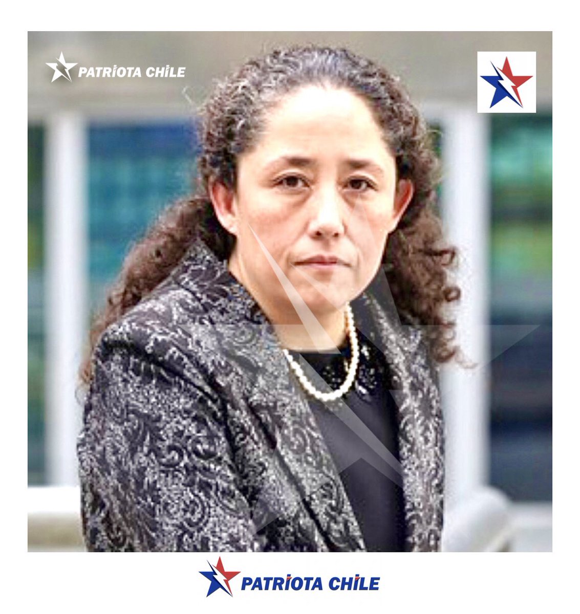 Soubirous_33's tweet photo. 🔴 AHORA | Patriotas, se viene La Demanda contra esta Zurda P0RFIADA de KARASH0, Ximena Chong, por Hostigamiento, injurias, FALSA ACUSACIÓN y Persecución Política contra el Teniente Coronel Claudio Crespo. RT #XimenaChongDebePagar @Contraloriacl @PJudicialChile https://t.co/5u2NRrua93