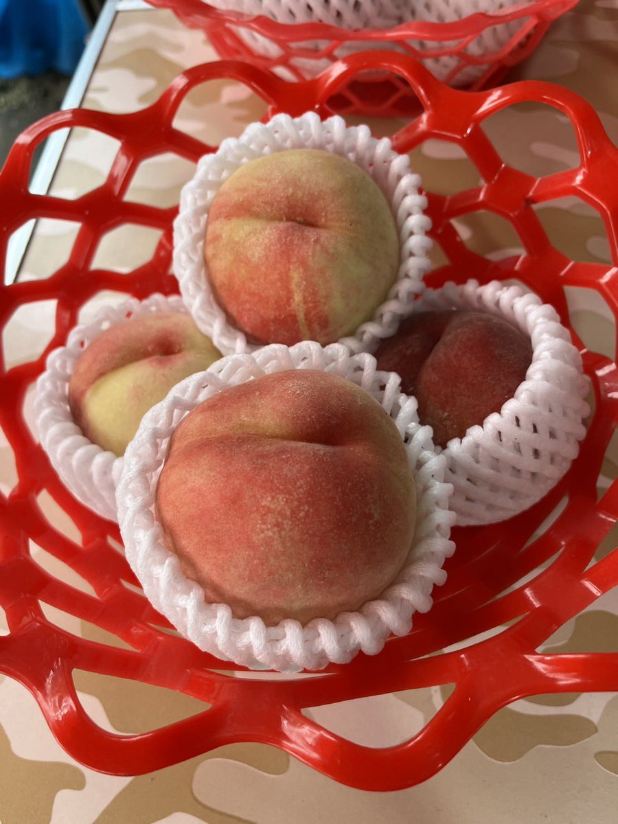 samonnouen's tweet photo. 🍑サモン農園🍑です‼️

🍑🍑白鳳🍑🍑
本日8/4(火)
☆13時オープン☆
(不定期営業でご迷惑を
お掛けしております🙏)

熱中症、夏バテ予防にいかがでしょうか🩷

☆訳あり品ですがサービス実施中

皆さまのご来店お待ちしてます🙇‍♀️ https://t.co/KHIprYTqST