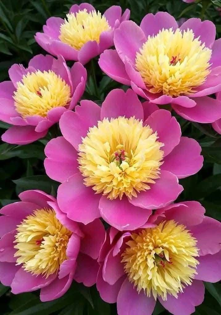 FBeauty121976's tweet photo. https://t.co/cUg4StprrT