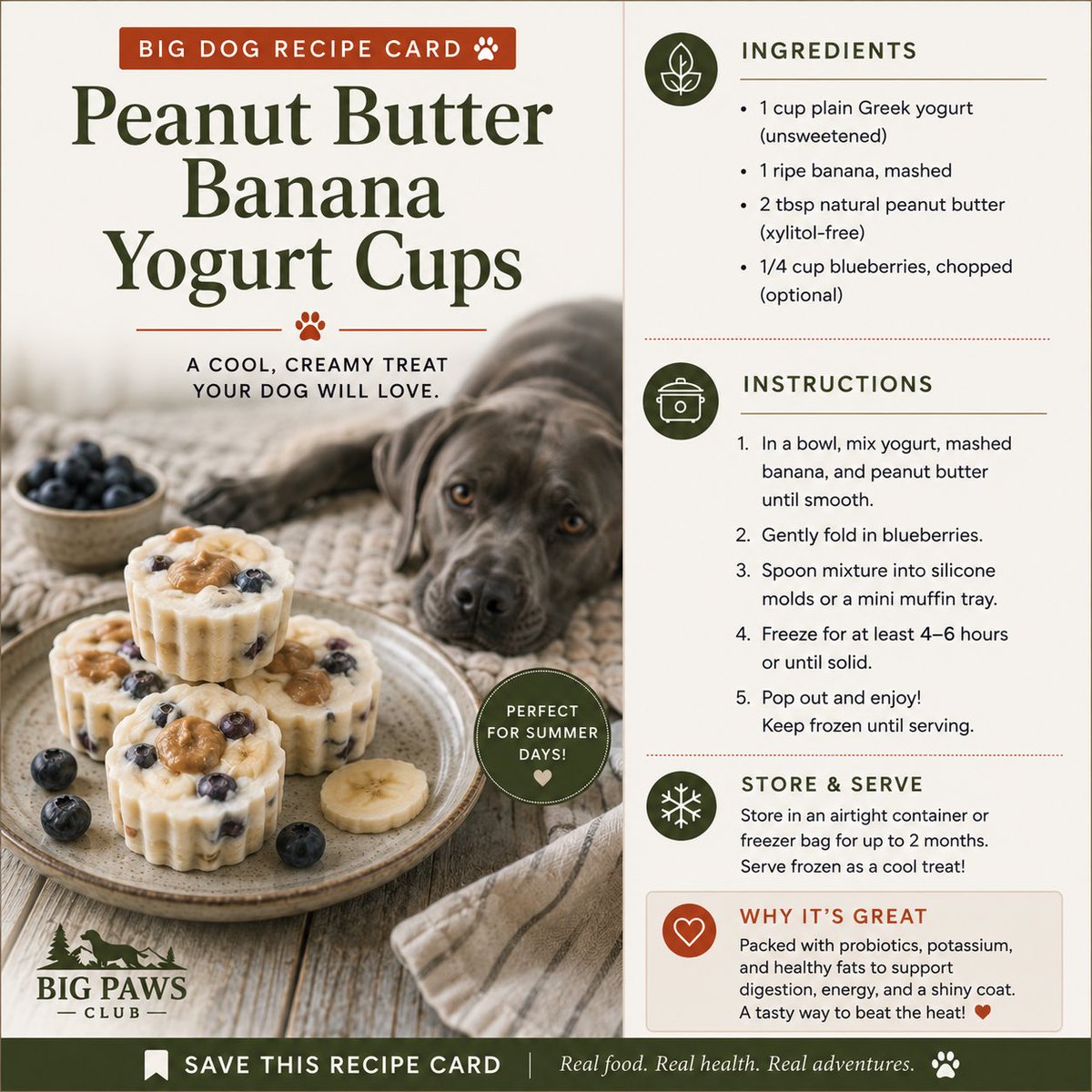BigPawsClub's tweet photo. Homemade healthy dog treats your doggies will love… Perfect for those hot summer days 💙🐾🦴 

#bigdogs #dogrecipes #diydogtreats https://t.co/fHb9JgkjAe