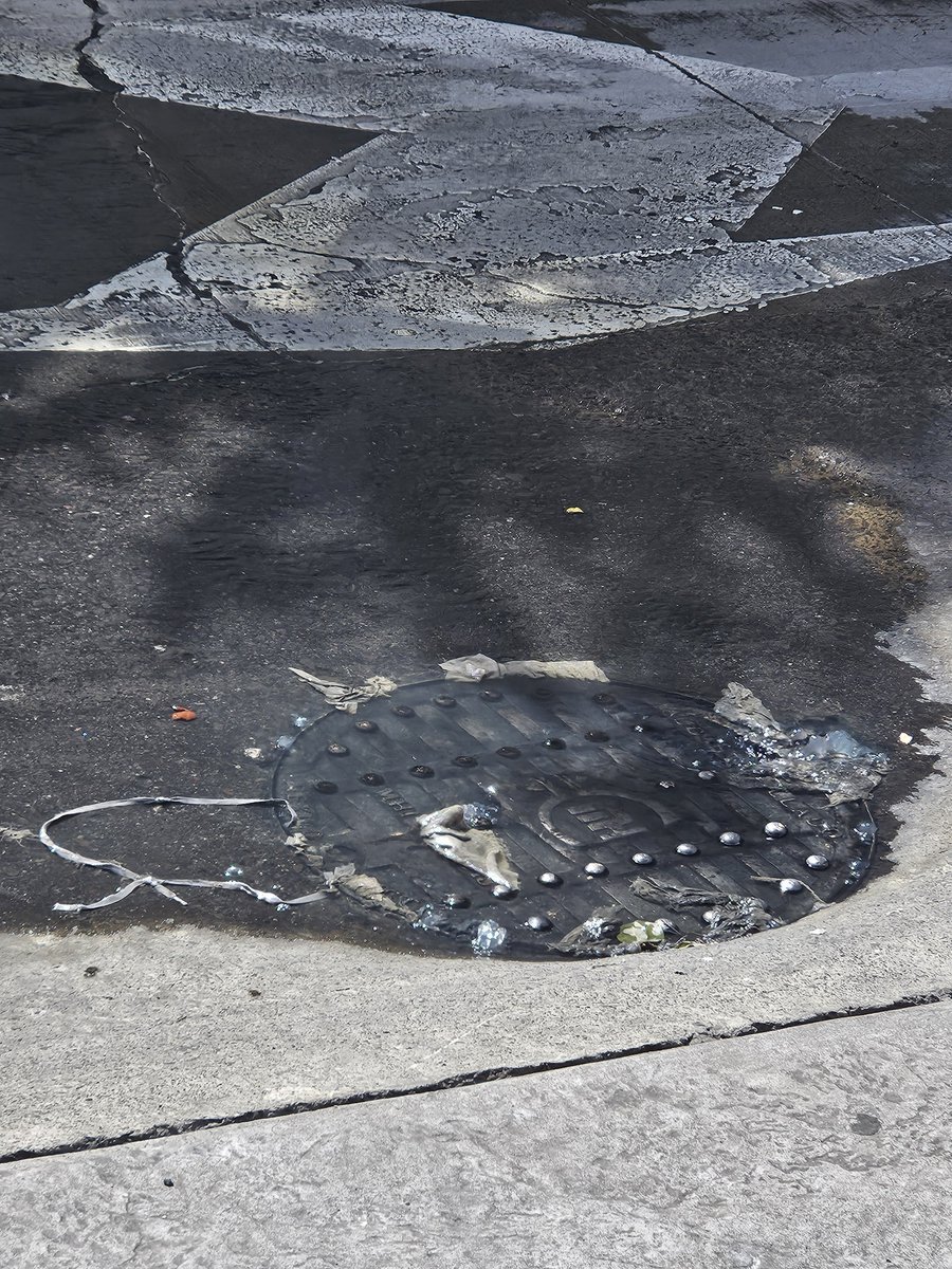 gunnertapatio's tweet photo. @siapagdl @ZapopanGob @Linea_Zapopan @Trafico_ZMG

Fuga de agua residuales en en Cruce de Acero y Av Inglaterra, nos ayudan a reparar, por favor.

La fuga llega hasta Av Inglaterra y Juan Palomar y Arias https://t.co/KERI2VnDwl