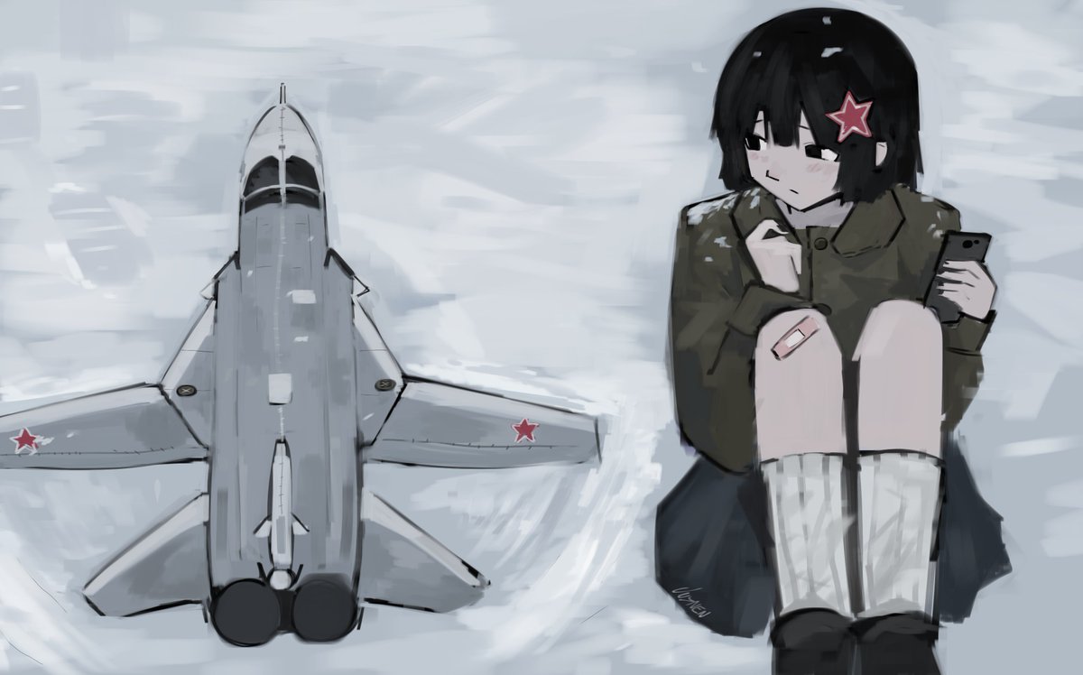 nensakha200's tweet photo. Sukhoi Su-24 Fencer plush https://t.co/spZoAXBN0B
