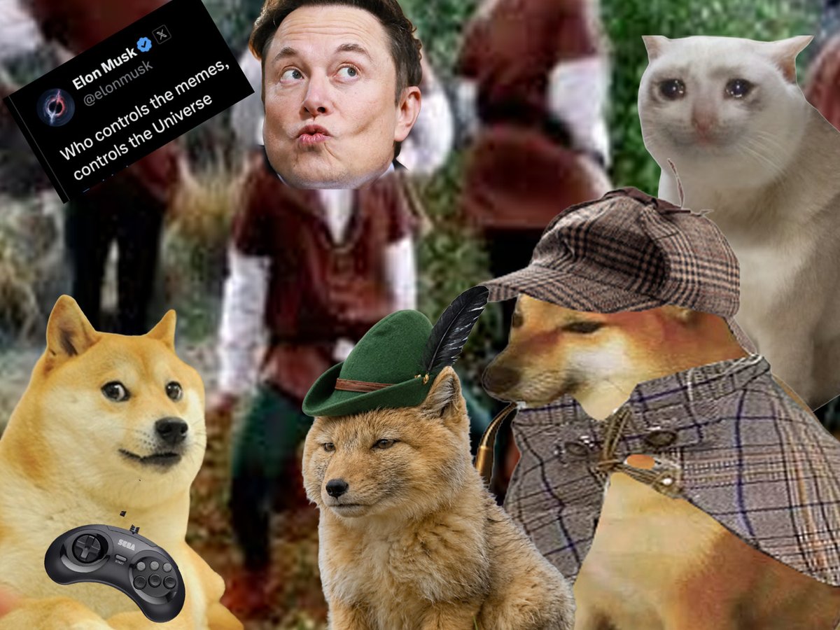 wamo fox tweet media