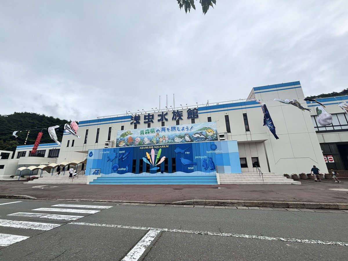A1012chan's tweet photo. 青森県浅虫水族館🐬
ずっと気になってた水族館に行けました🫶
入館料安いのに、クオリティ高かった✨
イルカショーは時間間違えて終わり際しか見れなかった...(lll-ω-)ﾁｰﾝ
#浅虫水族館 #青森県 #灯台 #城 #旅  #イルカ https://t.co/ZiGPChtI5A