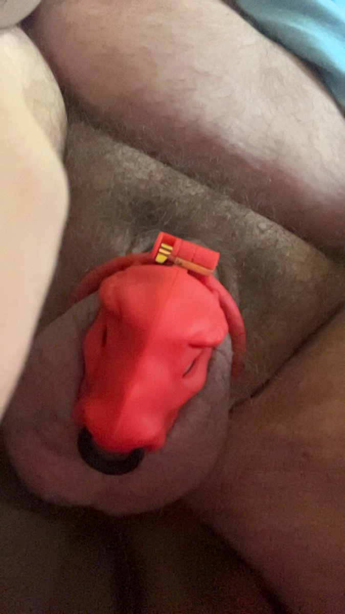 strkngoon's tweet photo. Finally, I’m a locked up faggot. https://t.co/OvxnwuOoGc