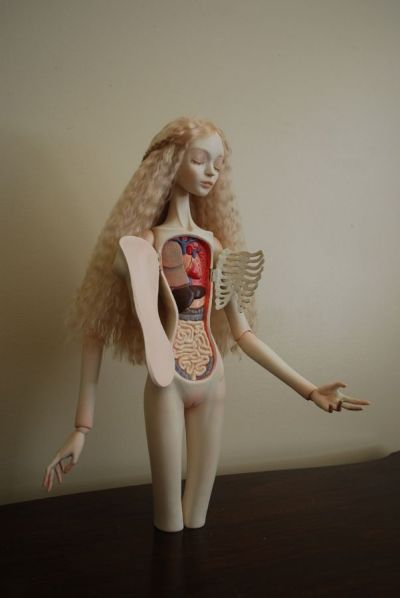 Fleshtoplay's tweet photo. "Anatomy Doll" - Alana Corra https://t.co/NaxWEHOjuy