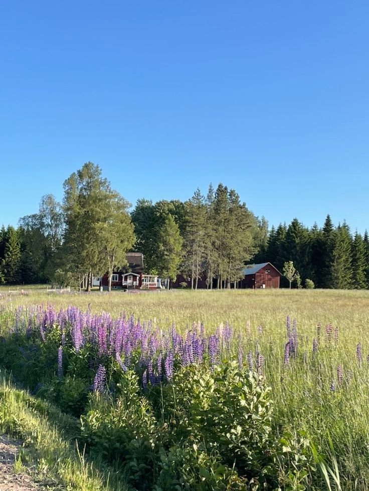 echoesofworld's tweet photo. Sweden countryside https://t.co/ItOTVwXMb5