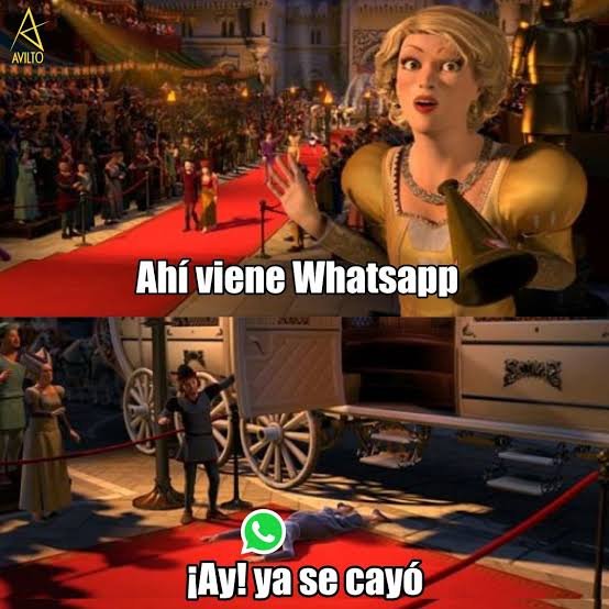 Zanddhra's tweet photo. Y como siempre @WhatsApp #whatsapp se cayó, no deja enviar stickers o imágenes https://t.co/ZesqYapChm