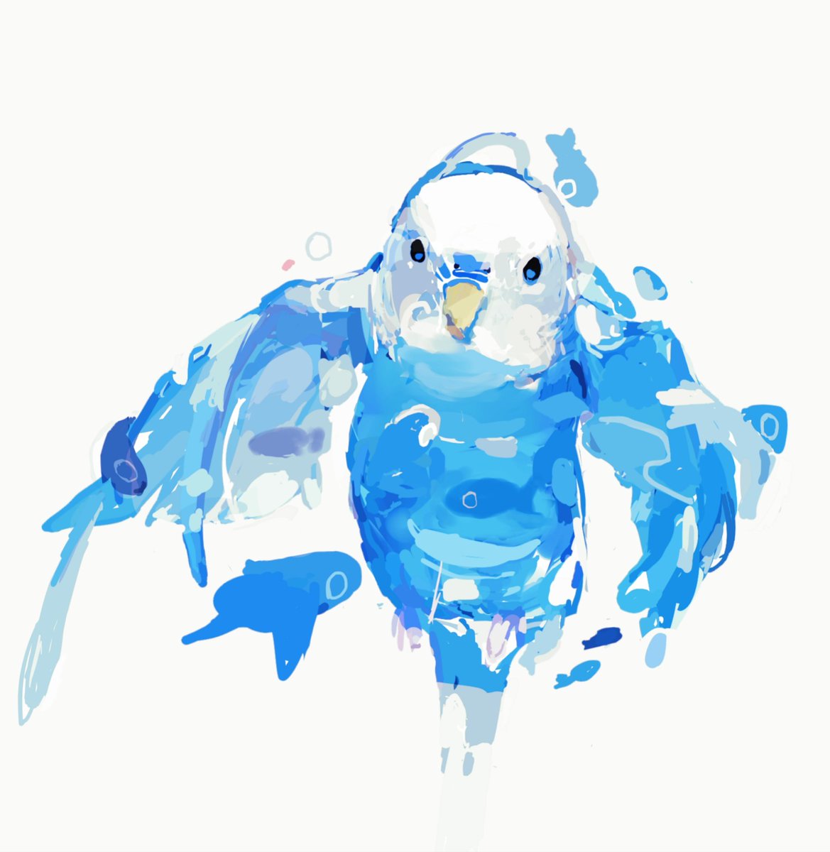 pasta_ssn's tweet photo. 青インコ https://t.co/gE0PcCxDAh