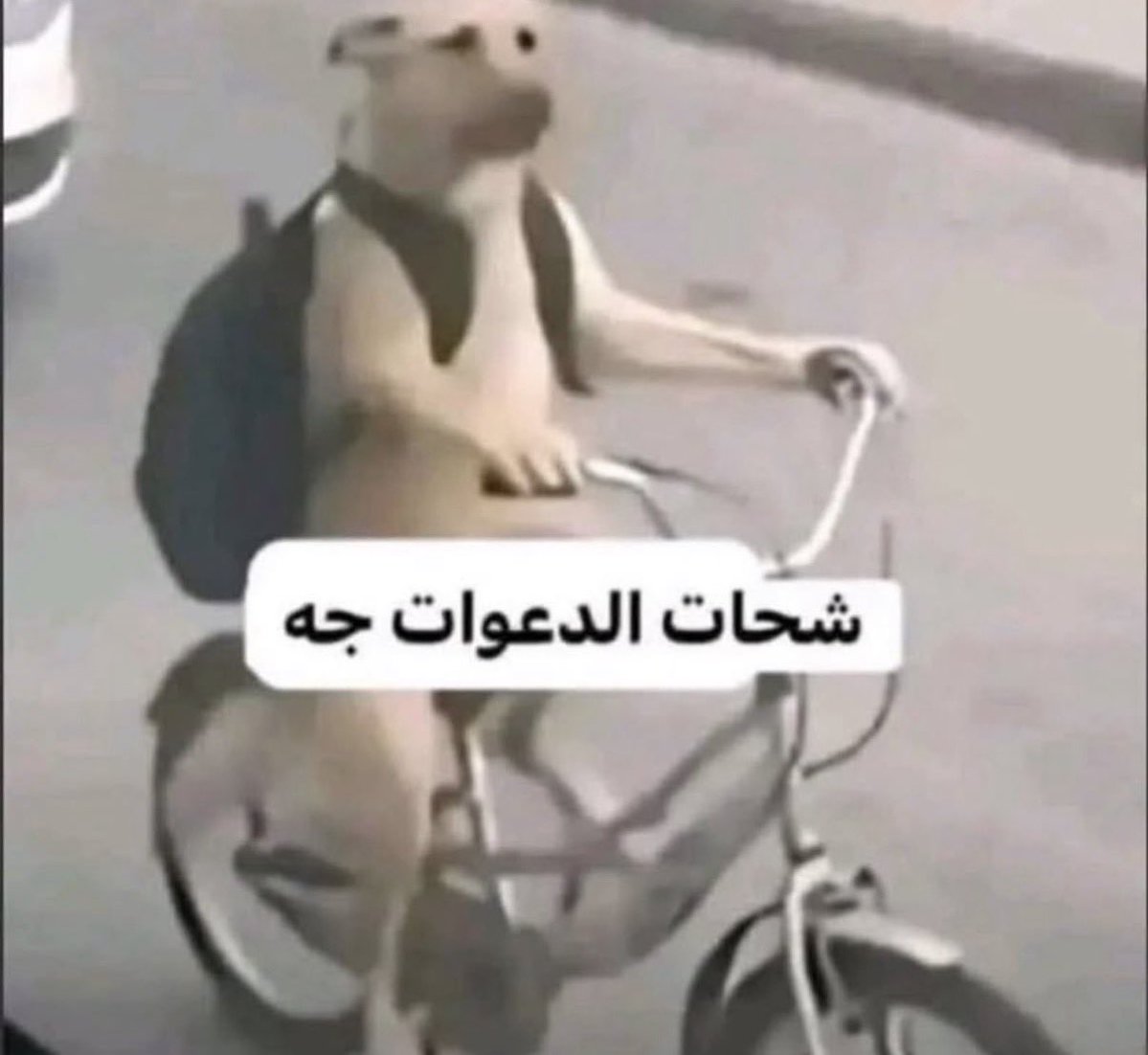 nosoul21's tweet photo. أنا كل ما شفت احد رايح مكه https://t.co/H6vp8lnmEl