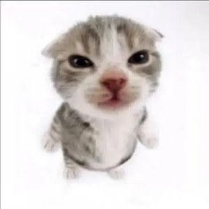 keytchu_'s tweet photo. se neurose é pra quem tem saiba que eu tenho de sobra https://t.co/AAMfbaLhDS