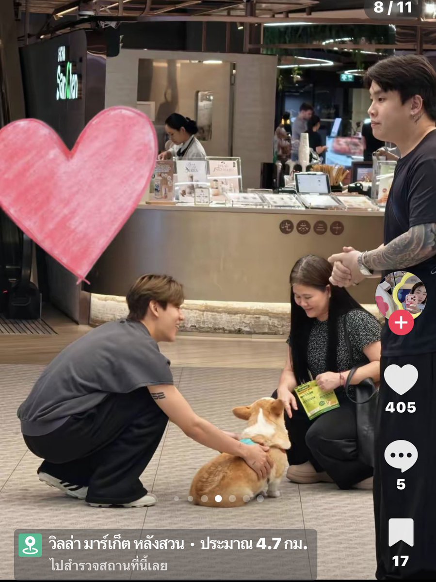 WipakornV's tweet photo. อุนแม่ว่าแล้วเชียว.. สิ่งที่จะทำให้แบมอยู่ในอาการแบบนั้นได้ ไม่ใช่น้องแมวก็น้องหมา 🥰❤️ https://t.co/GBu3bPbUxZ