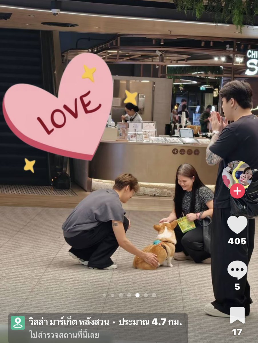 WipakornV's tweet photo. อุนแม่ว่าแล้วเชียว.. สิ่งที่จะทำให้แบมอยู่ในอาการแบบนั้นได้ ไม่ใช่น้องแมวก็น้องหมา 🥰❤️ https://t.co/GBu3bPbUxZ