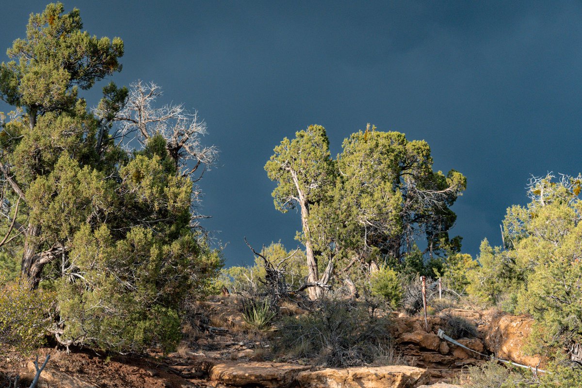 north0fnorth's tweet photo. when we went to mesa verde national park on july 19 there was this giant storm that barely missed us and gave all my photos this almost apocalyptic-looking lighting https://t.co/nlYGY6AkOl