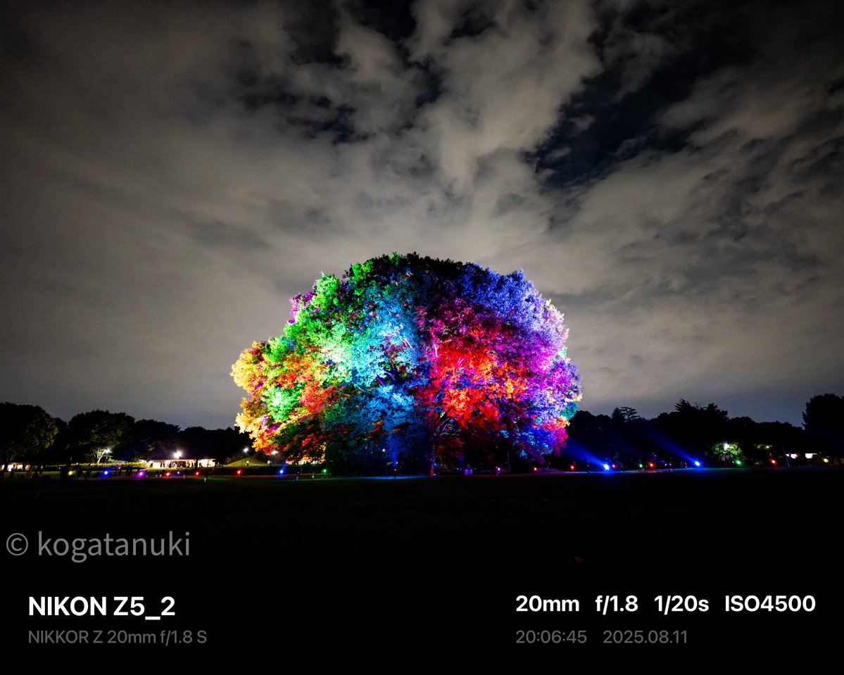 kogatanuki's tweet photo. #見た人は無言で去年の8月の写真を貼る

② https://t.co/l27i6AxCIk