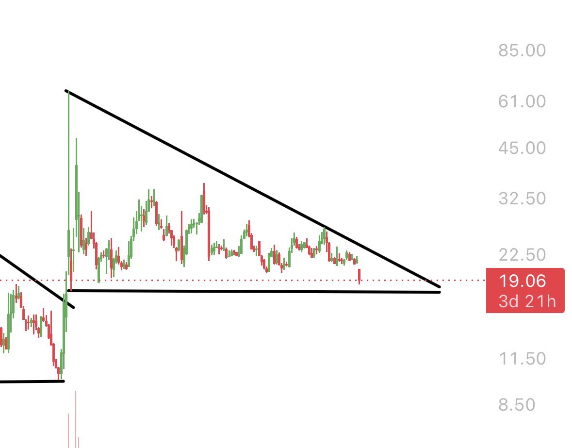 Apefrom2021's tweet photo. @colin_gladman Let me guess , you were too scared to buy gme at 10 bucks the same way ur scared now ? . Kitty looks down on you for scamming ur discord https://t.co/xUwkop845H