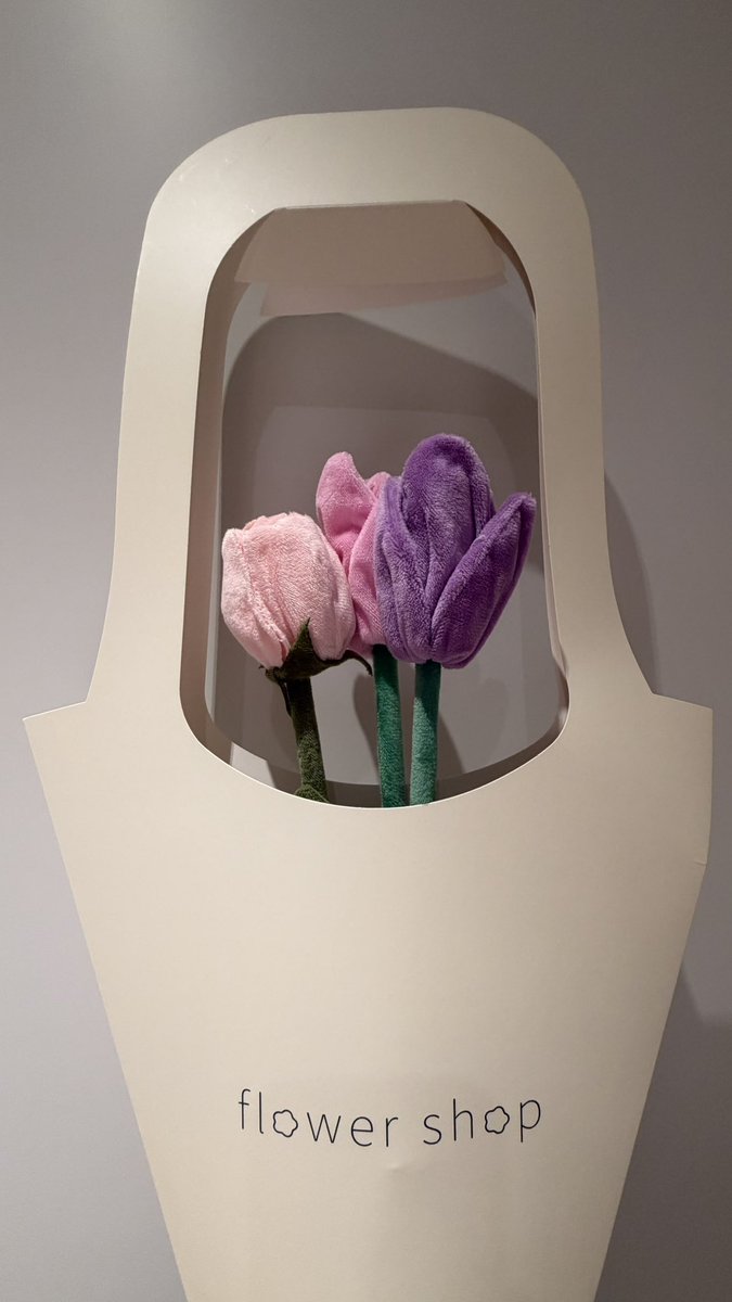 vf_852's tweet photo. Went to CJ Hendry’s newly opened Flower Shop to pick up some plush flowers for Freen. There’s only two places in the world you can get them right now, HK and NYC.

Lavender (The Purple Tulip):

Symbolism: Royalty, elegance, grace, and admiration.

Meaning: Purple tulips traditionally convey a message of deep affection mixed with high respect.

Vibrant Pink (The Pink Tulip):

Symbolism: Happiness, confidence, and best wishes.

Meaning: Pink tulips are often gifted to express genuine care, good fortune, and affection.

 Blush Pink (The Rosebud):

Symbolism: Gentle love, grace, gratitude, and fresh beginnings.

Meaning: The soft blush tone emphasizes sweetness, tenderness, and appreciation.

Together: The trio balances admiration (lavender) with playful affection (pink) and tender appreciation (blush), representing a warm, deeply affectionate, and uplifting gesture.

Traditionally, three-stem combos also express “I love you”. I think this combo symbolizes what I want to wish Saro right now.

#srchafreen
