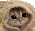 Duwuge's tweet photo. I hecking love cobblestone xQc https://t.co/8o5SRu8waA