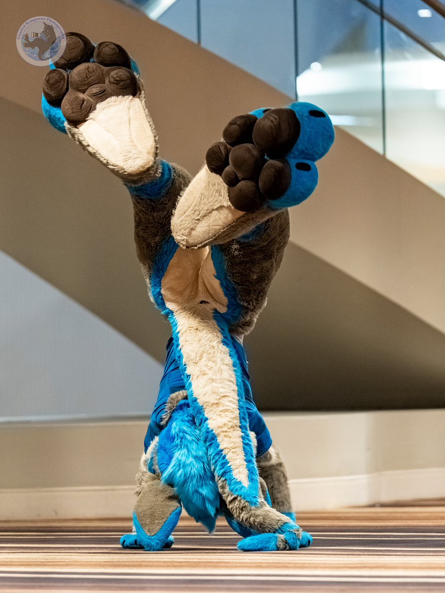 Kangazeroo's tweet photo. It’s Pawgust!! 

I have those!! https://t.co/erSRC3tcUu