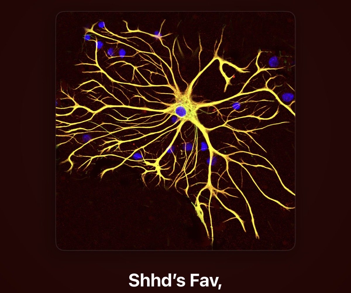 ShhdOth's tweet photo. الplaylist تبعتي، أكثر شي عشوائي في الحياة.. https://t.co/q3qF3dRusd
