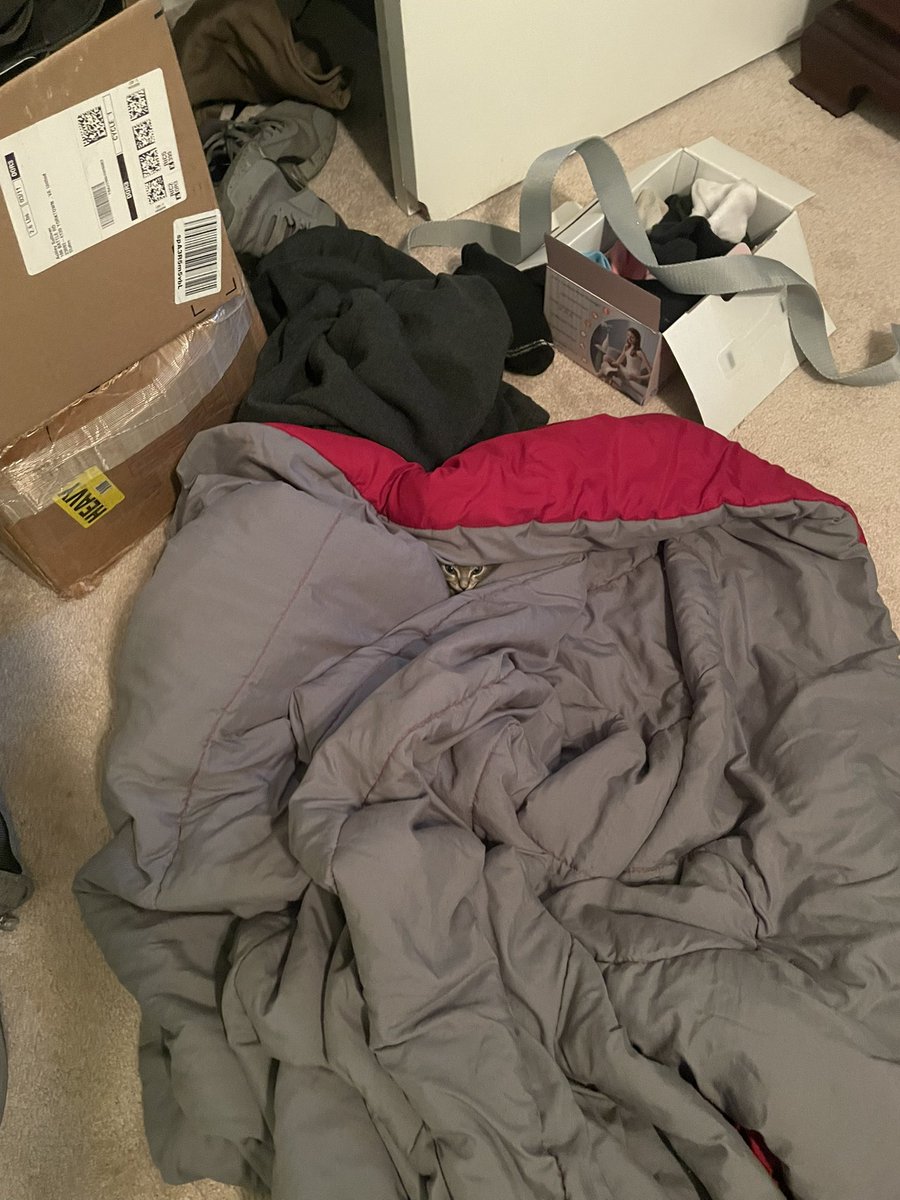 erinbevb's tweet photo. Walked in his little separation room and see him like this I COULD SCREAM 😭😭😭😭 god he is so wittle https://t.co/M35woG1zXE