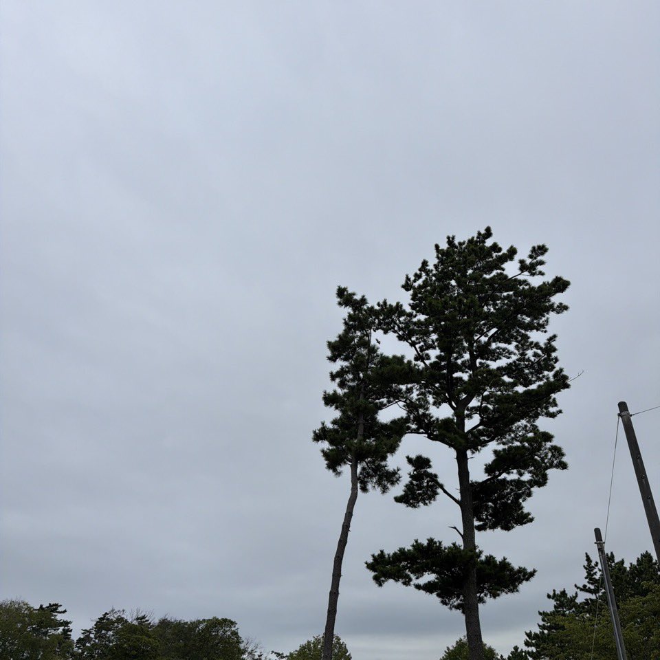 takaO_G's tweet photo. 今朝は曇り空☁️
気温は27℃で涼しさを感じるね🦮🐕‍🦺🚶 https://t.co/FLQquUYfrc