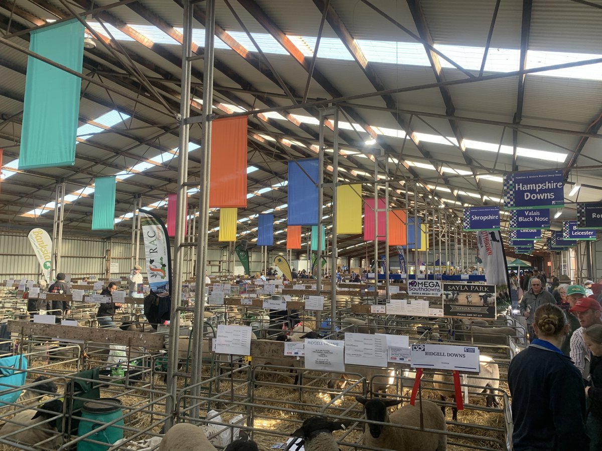 VicFarmers's tweet photo. All the sights and sounds of another fantastic Sheepvention Rural Expo in Hamilton🐑🐏

It was great seeing farmers from right across Victoria and we can't wait to be back to do it all again next year.

Want to see where our team will be next? Check out our events page: https://t.co/CvQEWahusG #vicfarmers