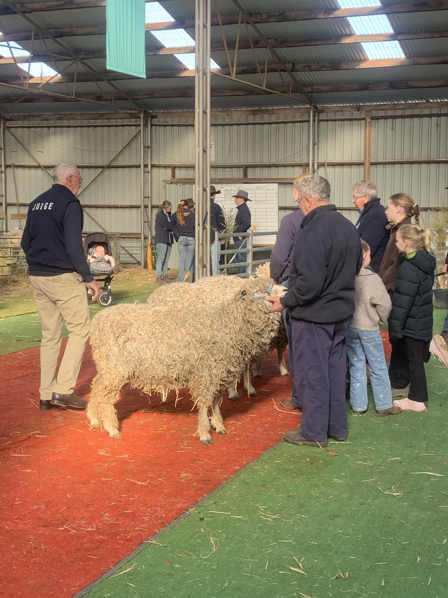 VicFarmers's tweet photo. All the sights and sounds of another fantastic Sheepvention Rural Expo in Hamilton🐑🐏

It was great seeing farmers from right across Victoria and we can't wait to be back to do it all again next year.

Want to see where our team will be next? Check out our events page: https://t.co/CvQEWahusG #vicfarmers