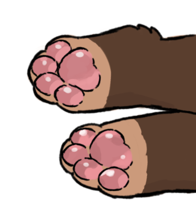 Vyirex's tweet photo. paws,, https://t.co/6BInRF1lpw