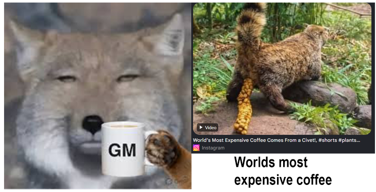 wamo fox tweet media