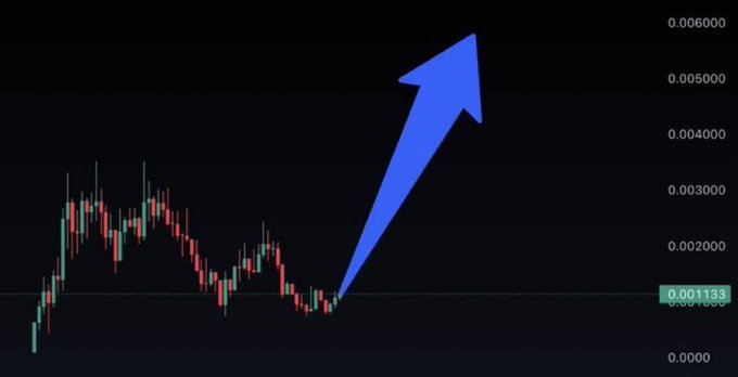 xolo100x's tweet photo. Are you ready for the next $CATE?

Are you ready for the next $JIMOTHY?

Are you ready for the next $ANSEM?

Comment "ME" and I will send you the CA. https://t.co/MqOaFEGK0r