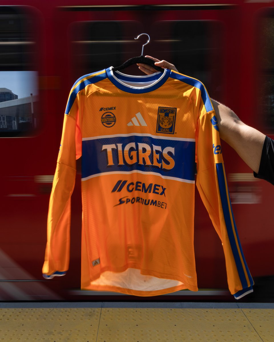 TigresOficial's tweet photo. 😍💛 ¡La más hermosa del mundo para pintar 𝑼𝒕𝒂𝒉 de 𝒂𝒎𝒂𝒓𝒊𝒍𝒍𝒐 𝒚 𝒂𝒛𝒖𝒍! https://t.co/2hl5Ui6o03