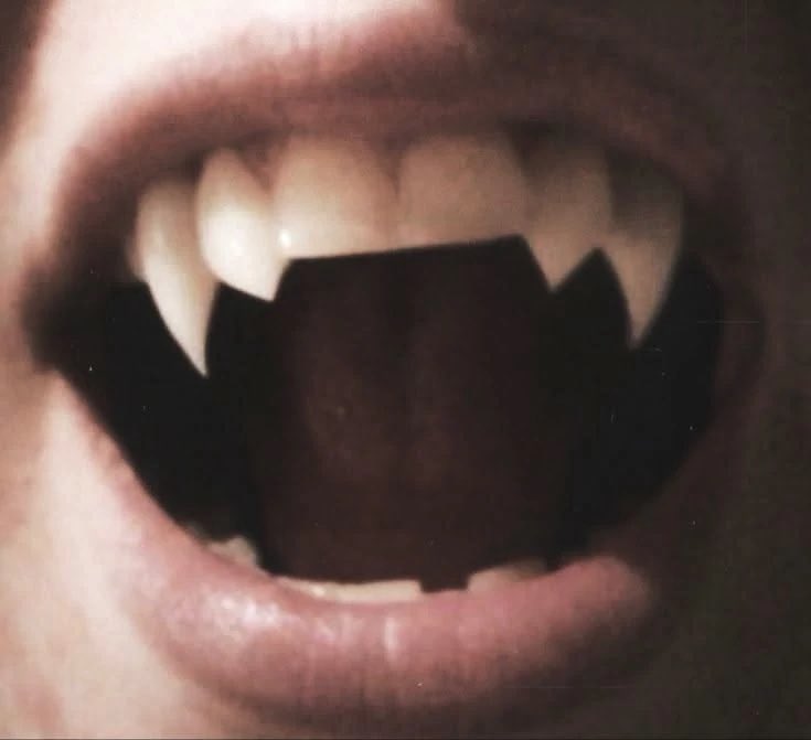 halahour_'s tweet photo. #nichojoo au onde: 

as famílias de nicholas e euijoo fazem um acordo para eles se casarem. mas tem uma coisa que euijoo não sabe, nicholas e sua família são vampiros. https://t.co/Vk58dsxce7