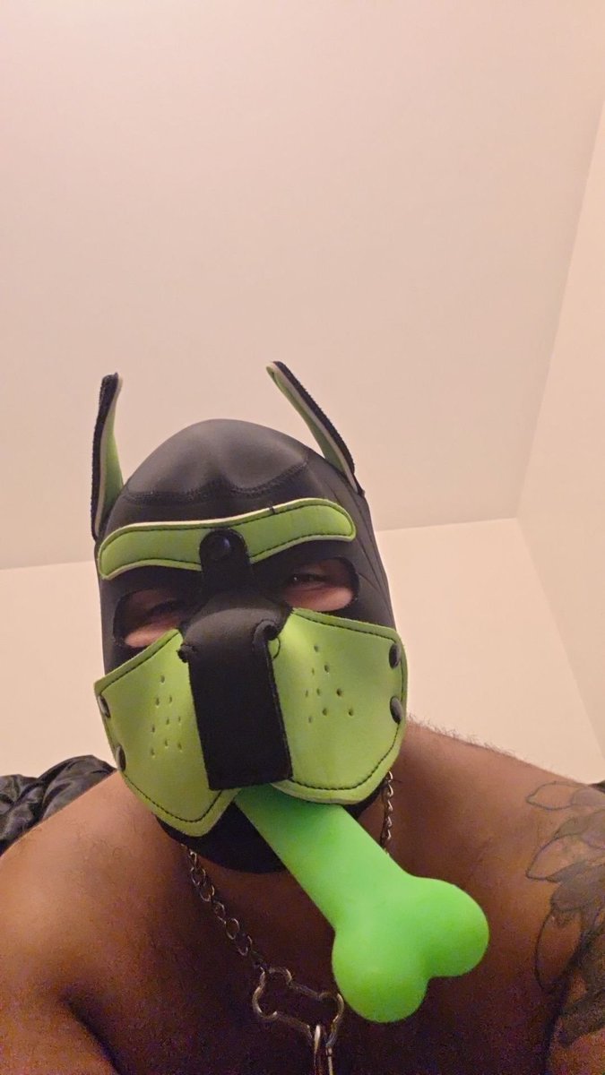sailorpupnando's tweet photo. In a pup mood. https://t.co/VeliGGVD4r